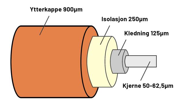 Tverrsnitt av multimodus fiber